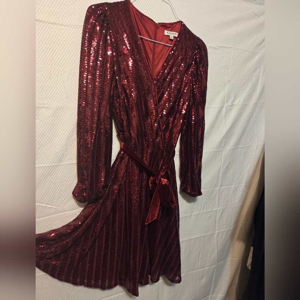 Zara Burgundy Sequin Long Sleeve Dress